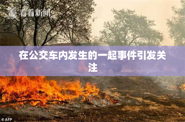 在公交车内发生的一起事件引发关注