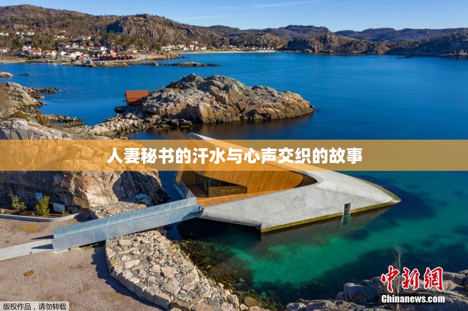 人妻秘书的汗水与心声交织的故事