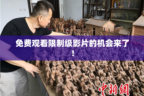 免费观看限制级影片的机会来了！
