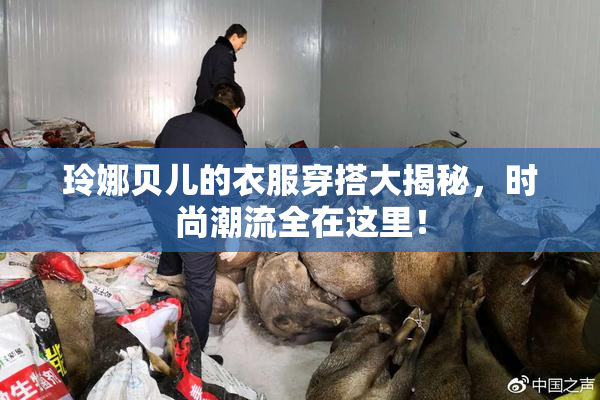 玲娜贝儿的衣服穿搭大揭秘，时尚潮流全在这里！
