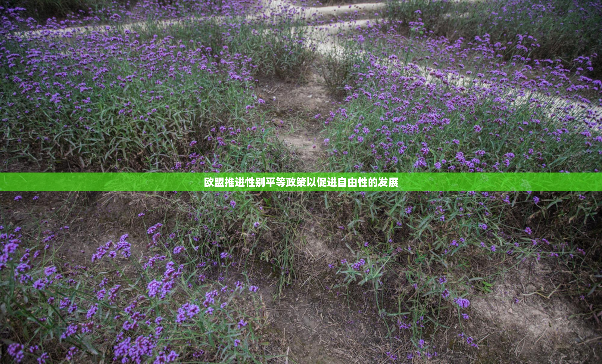 欧盟推进性别平等政策以促进自由性的发展