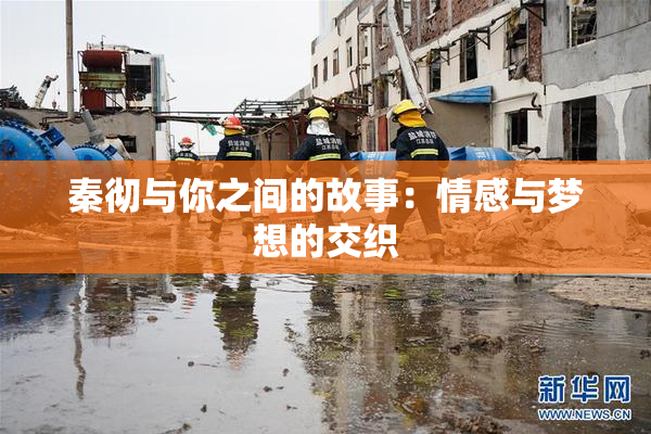 秦彻与你之间的故事：情感与梦想的交织