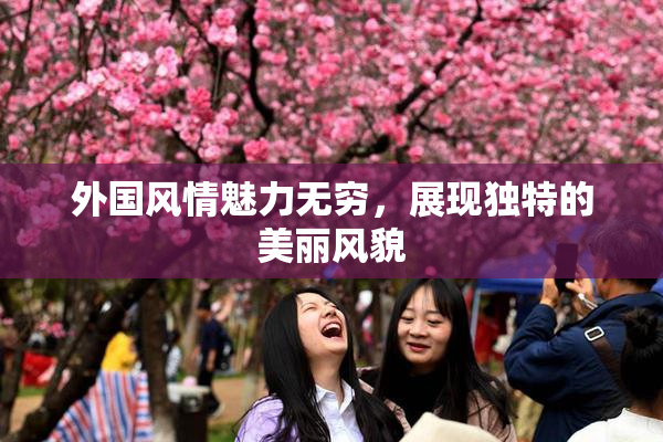 外国风情魅力无穷，展现独特的美丽风貌