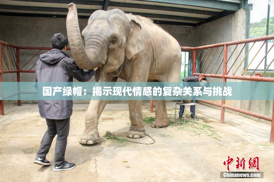 国产绿帽：揭示现代情感的复杂关系与挑战