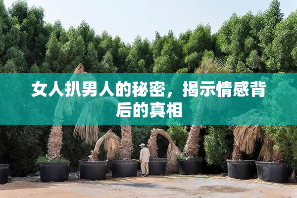 女人扒男人的秘密，揭示情感背后的真相