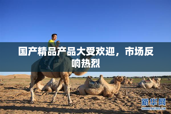 国产精品产品大受欢迎，市场反响热烈