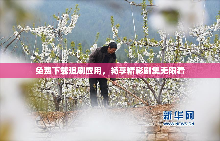 免费下载追剧应用，畅享精彩剧集无限看
