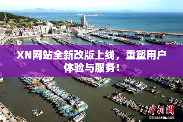 XN网站全新改版上线，重塑用户体验与服务！
