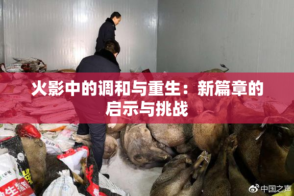 火影中的调和与重生：新篇章的启示与挑战