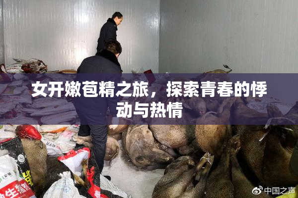 女开嫩苞精之旅，探索青春的悸动与热情