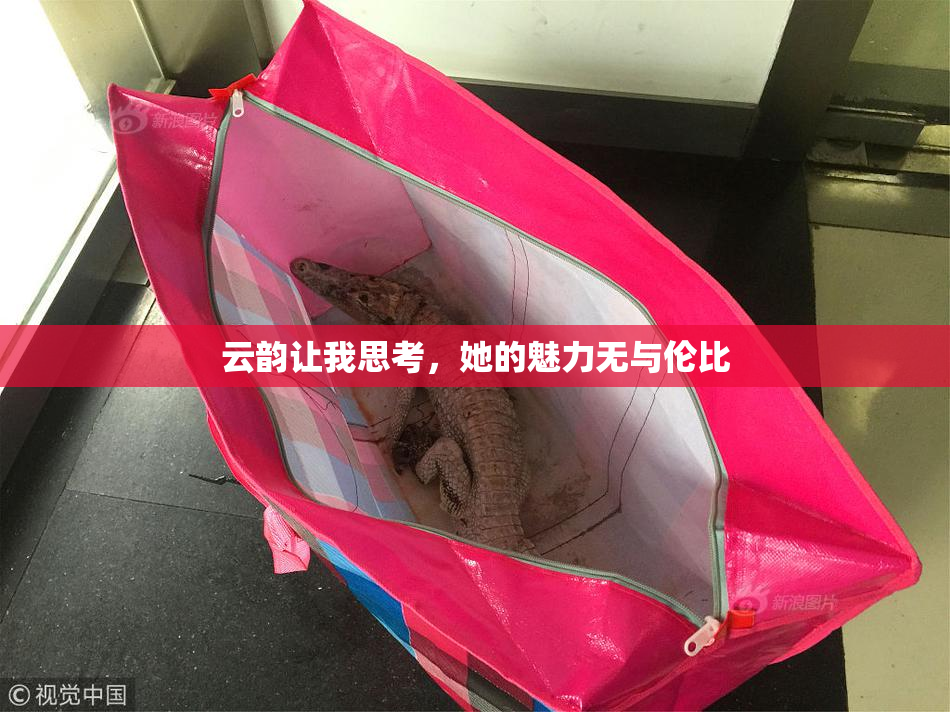 云韵让我思考，她的魅力无与伦比