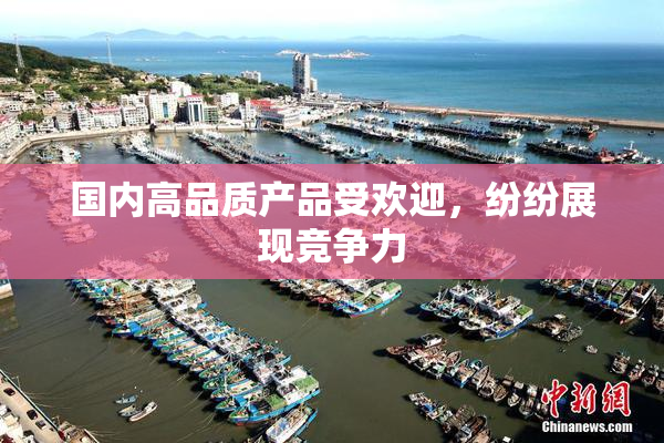 国内高品质产品受欢迎，纷纷展现竞争力