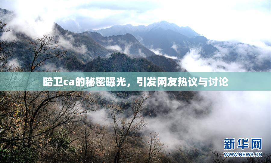 暗卫ca的秘密曝光，引发网友热议与讨论