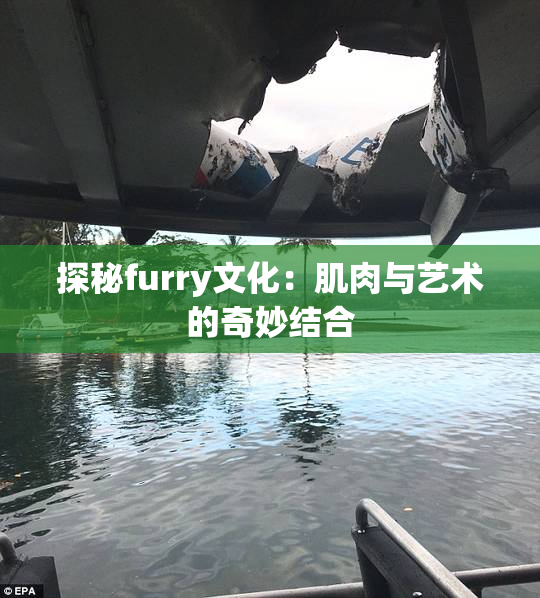 探秘furry文化：肌肉与艺术的奇妙结合