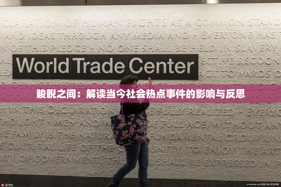 睃睨之间：解读当今社会热点事件的影响与反思