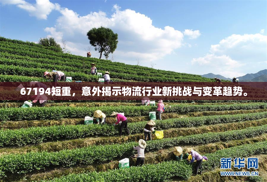 67194短重，意外揭示物流行业新挑战与变革趋势。