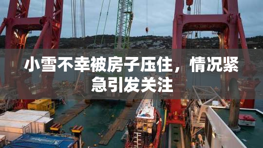 小雪不幸被房子压住，情况紧急引发关注