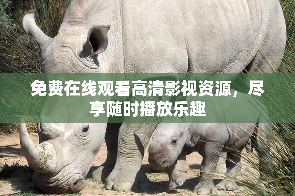 免费在线观看高清影视资源，尽享随时播放乐趣
