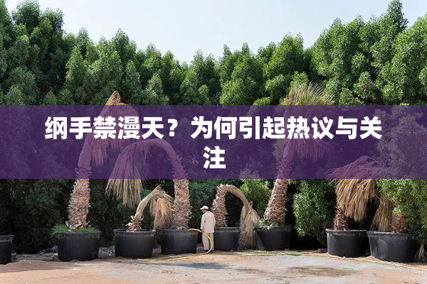 纲手禁漫天？为何引起热议与关注