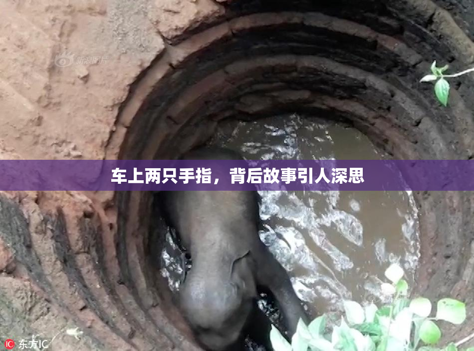 车上两只手指，背后故事引人深思