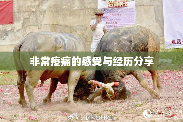 非常疼痛的感受与经历分享