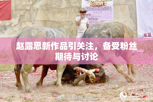 赵露思新作品引关注，备受粉丝期待与讨论