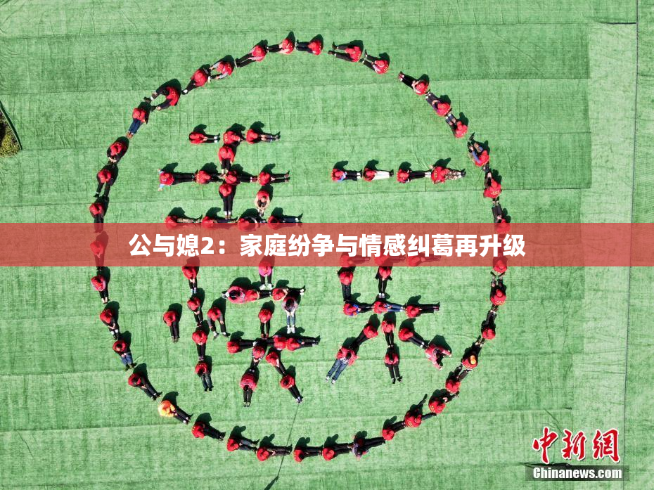 公与媳2：家庭纷争与情感纠葛再升级