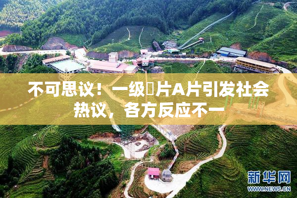 不可思议！一级婬片A片引发社会热议，各方反应不一