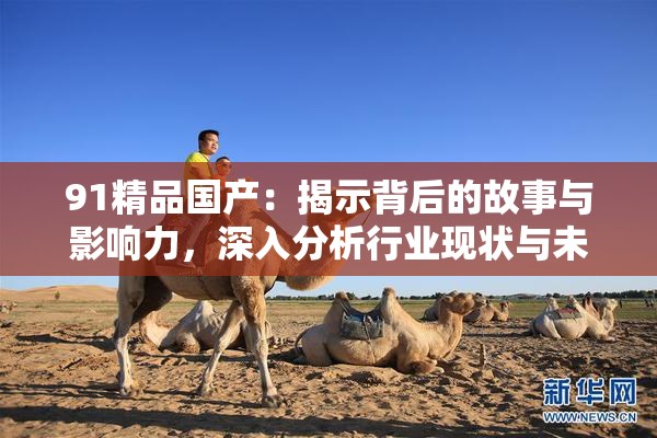 91精品国产：揭示背后的故事与影响力，深入分析行业现状与未来趋势