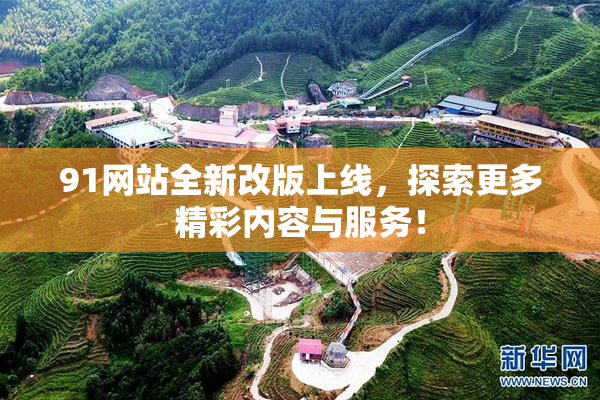 91网站全新改版上线，探索更多精彩内容与服务！