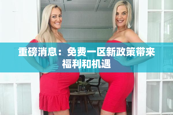 重磅消息：免费一区新政策带来福利和机遇