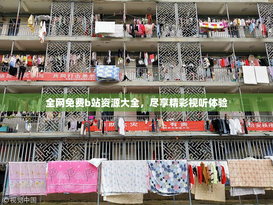 全网免费b站资源大全，尽享精彩视听体验