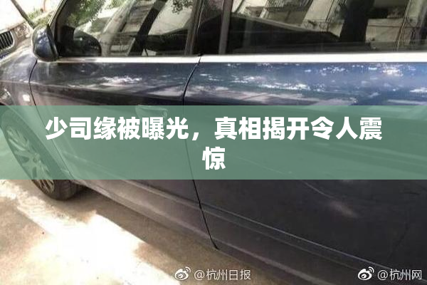 少司缘被曝光，真相揭开令人震惊
