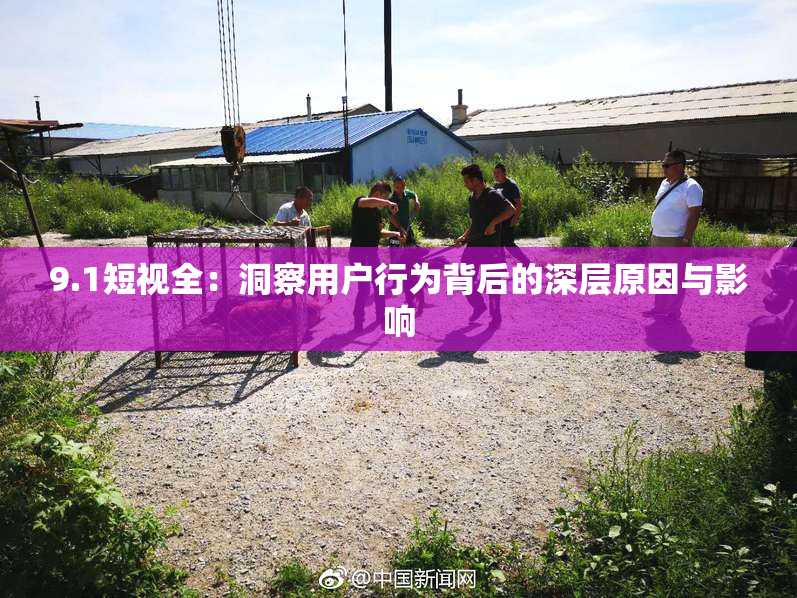 9.1短视全：洞察用户行为背后的深层原因与影响