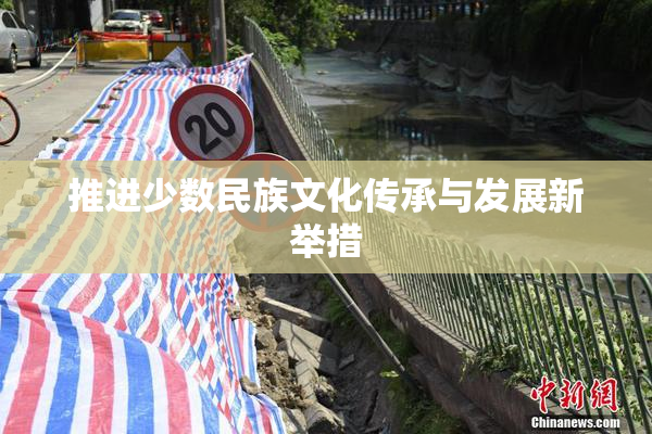 推进少数民族文化传承与发展新举措