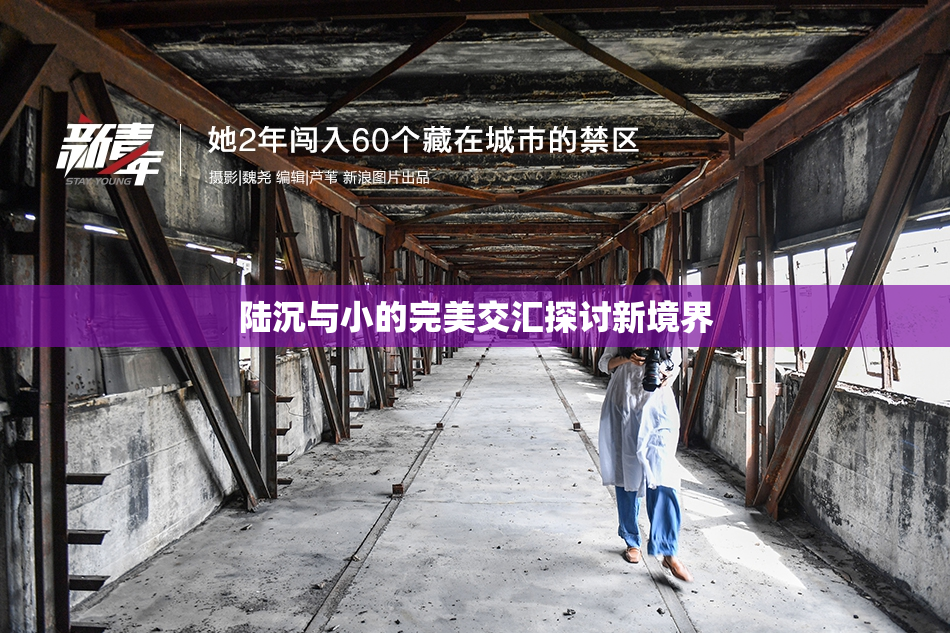 陆沉与小的完美交汇探讨新境界