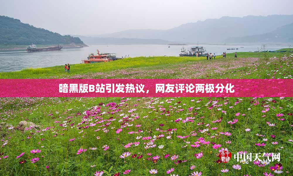 暗黑版B站引发热议，网友评论两极分化