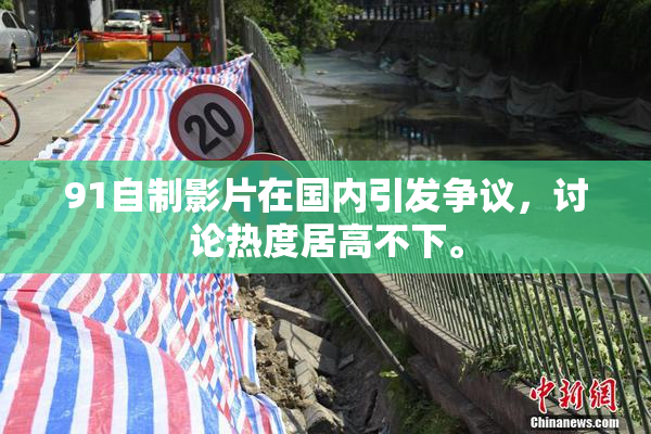 91自制影片在国内引发争议，讨论热度居高不下。