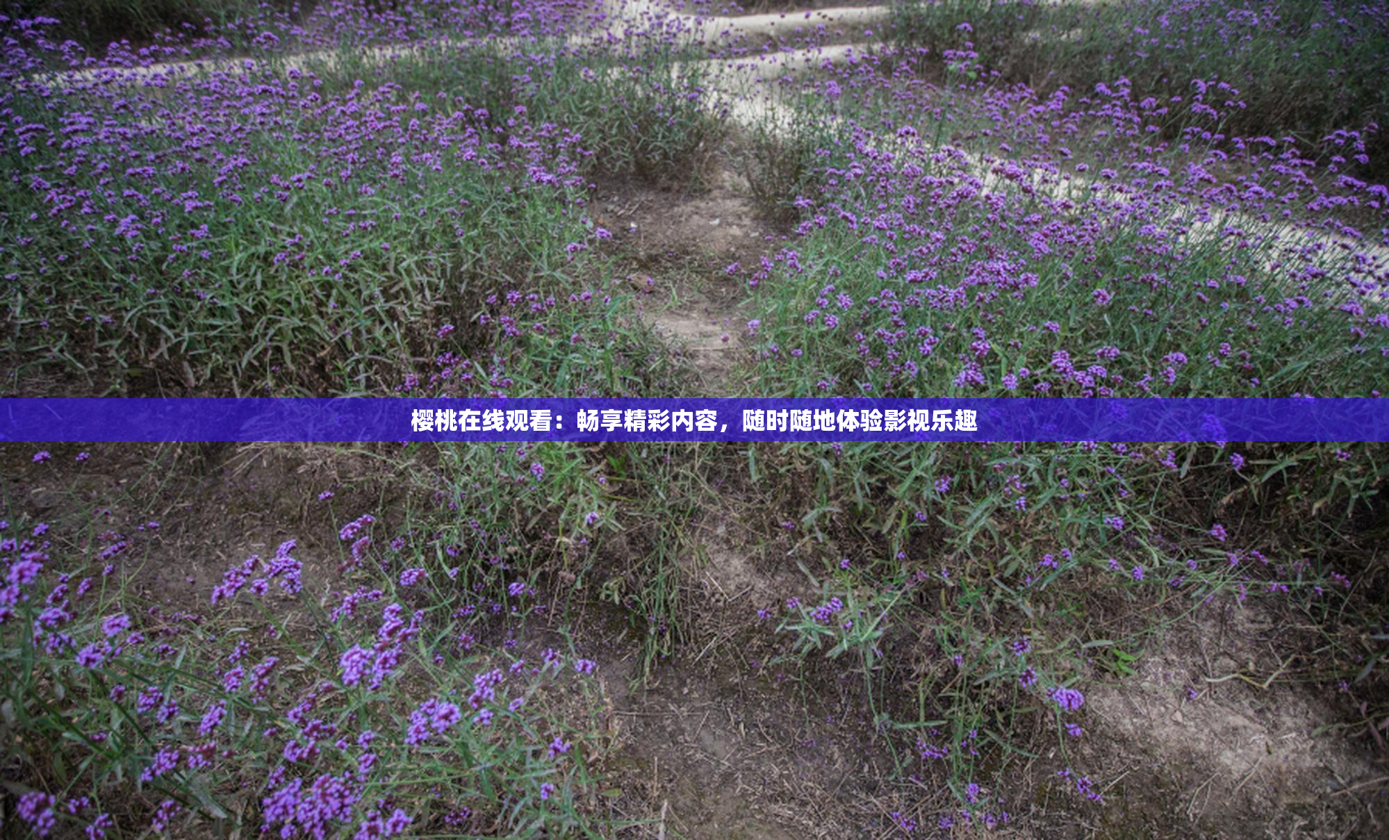 樱桃在线观看：畅享精彩内容，随时随地体验影视乐趣