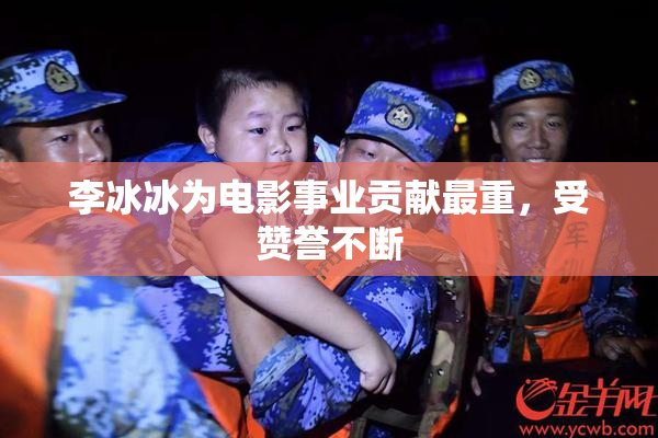 李冰冰为电影事业贡献最重，受赞誉不断