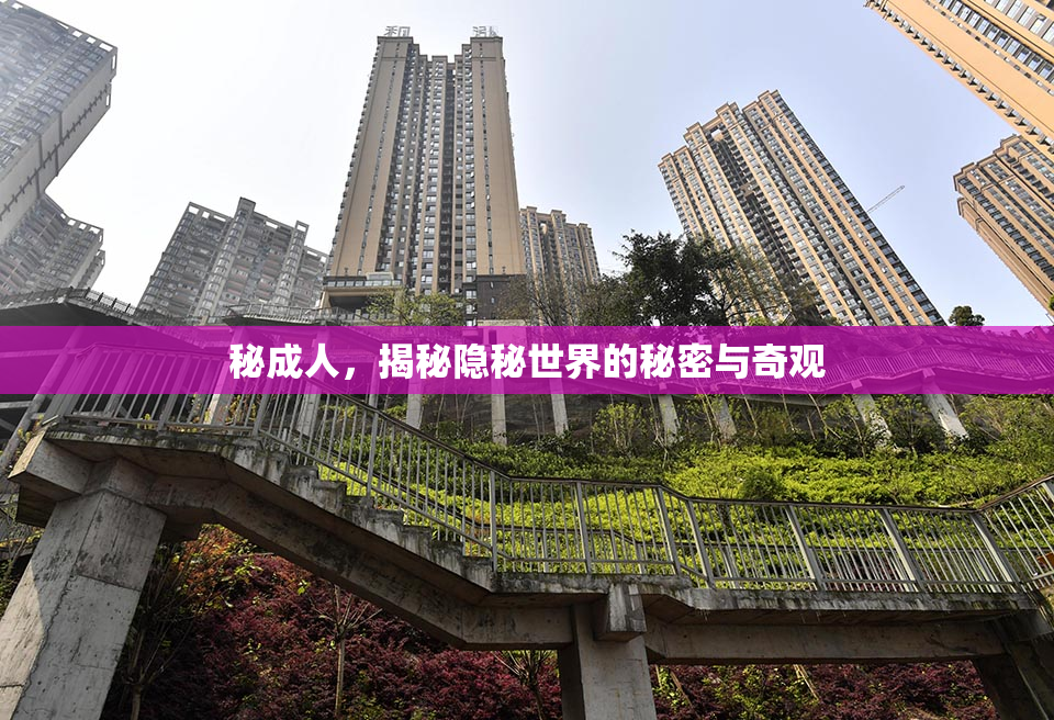 秘成人，揭秘隐秘世界的秘密与奇观