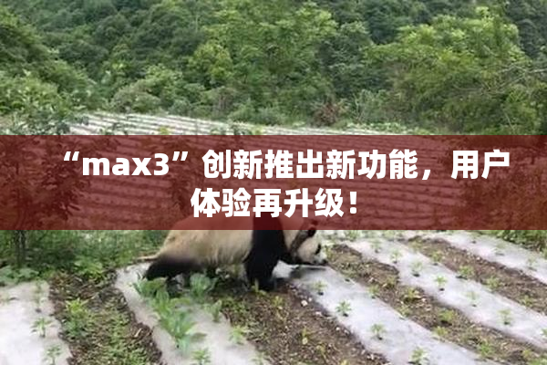 “max3”创新推出新功能，用户体验再升级！