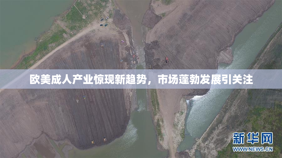 欧美成人产业惊现新趋势，市场蓬勃发展引关注