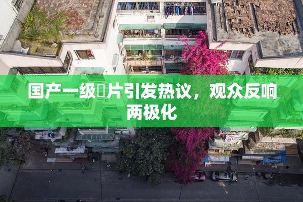 国产一级婬片引发热议，观众反响两极化