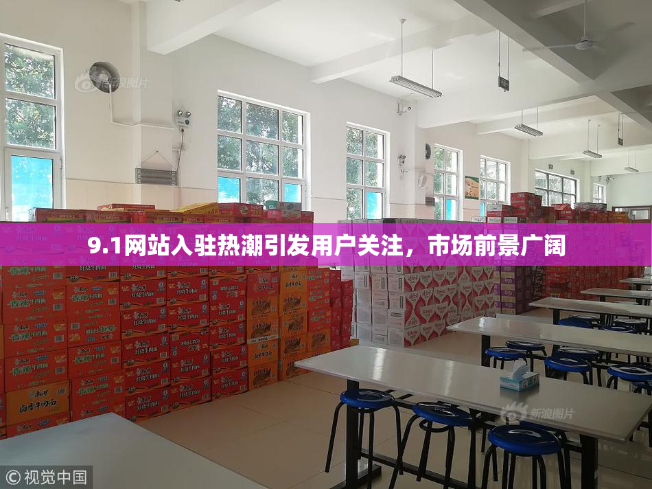 9.1网站入驻热潮引发用户关注，市场前景广阔