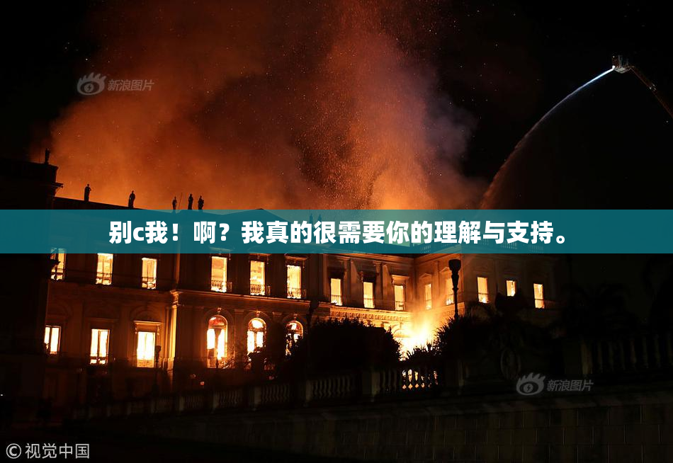 别c我！啊？我真的很需要你的理解与支持。