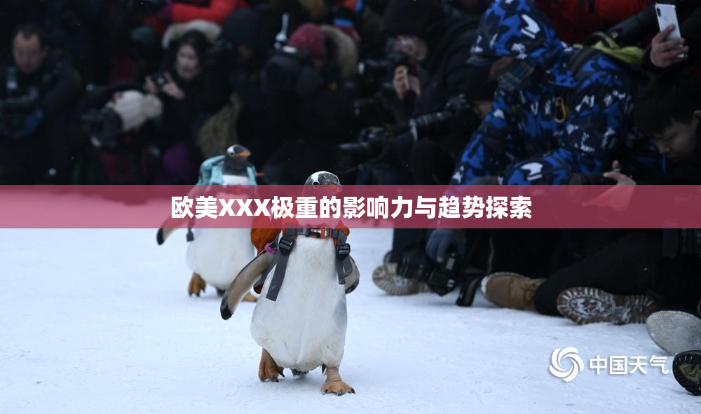 欧美XXX极重的影响力与趋势探索