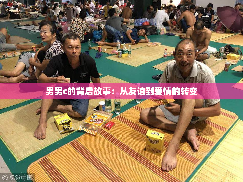 男男c的背后故事：从友谊到爱情的转变