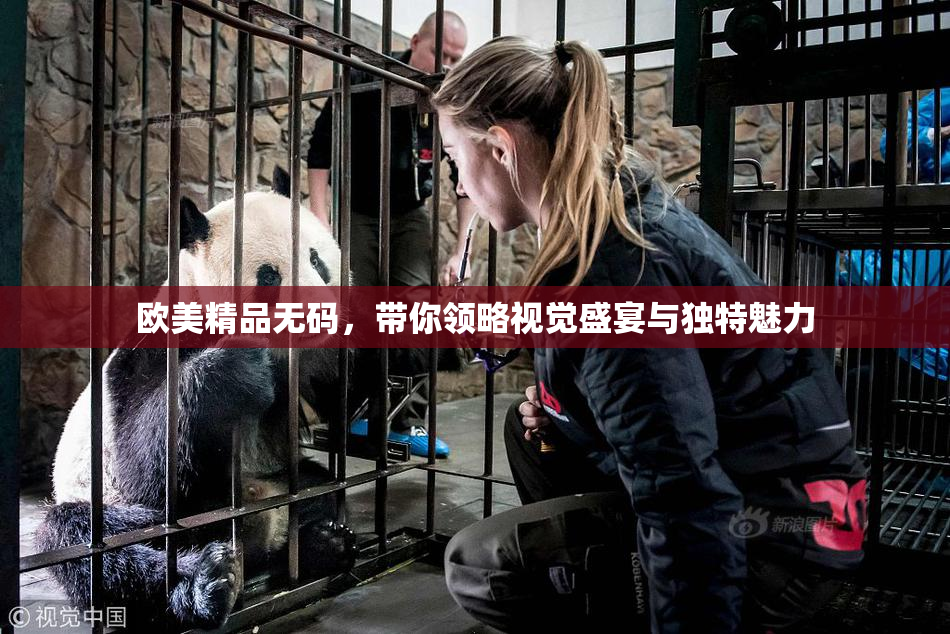 欧美精品无码，带你领略视觉盛宴与独特魅力