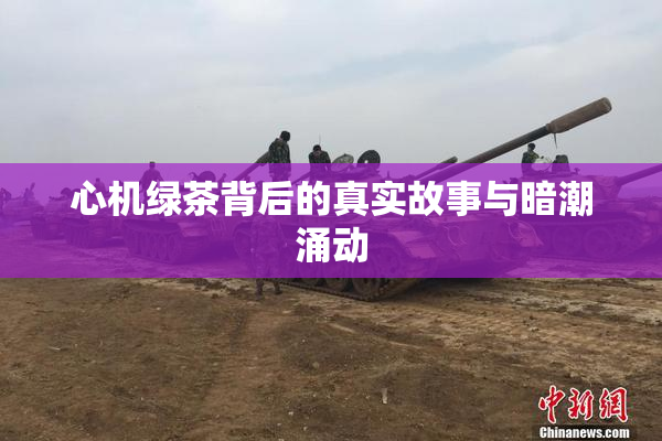 心机绿茶背后的真实故事与暗潮涌动